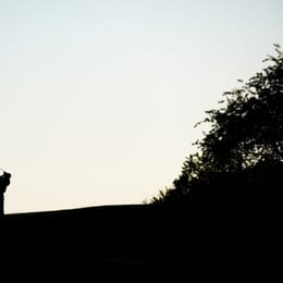 Mill Creek Golf Club