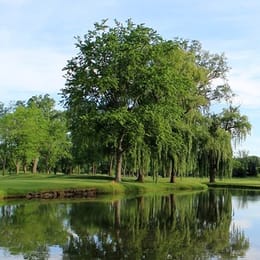 Highland Park Country Club