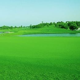 Excellent Club Ise Otori