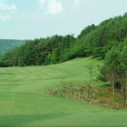 Crown Country Club - Sub