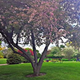 Pheasant Run Golf Course