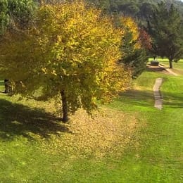 Pitch & Putt Vallromanes (Vilanova)