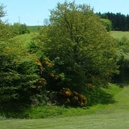 Kirkcudbright Golf Club