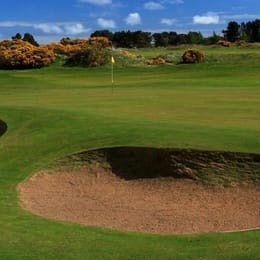 Monifieth Golf Club (The Medal)