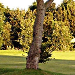 Portlethen Golf Club