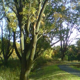 Riverside Golf Course