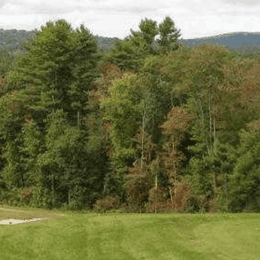 Mill Valley Golf Links