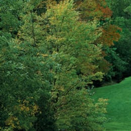 Beaver Brook Country Club