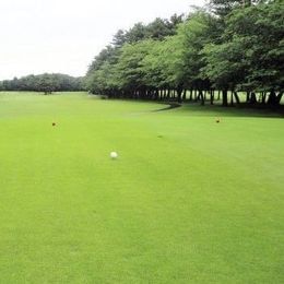 Friendship Country Club - Sub