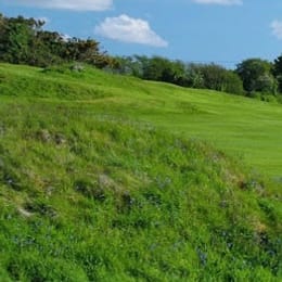 Baron Hill Golf Club