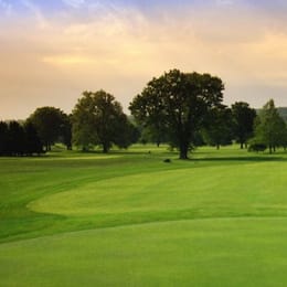 Reeves Golf Course (Regulation)