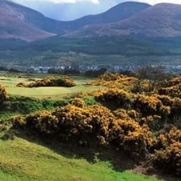 Royal County Down Golf Club (Annesley)