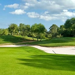 Shannon Greens Golf Club