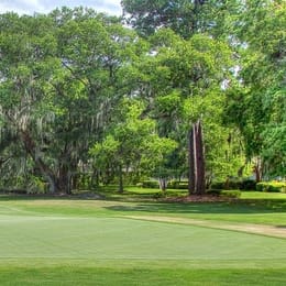 Dolphin Head Golf Club