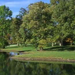 Locust Hills Golf Club (Maple)