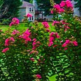 Kiln Creek Golf Club & Resort