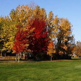 Beaver Dam Country Club