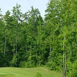 The Tradition Golf Club