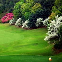 Eunhwasam Country Club
