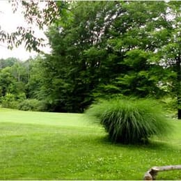 Tameka Woods Golf Club