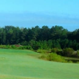 Woodlake Country Club (Palmer)