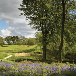 Brokenhurst Manor Golf Club