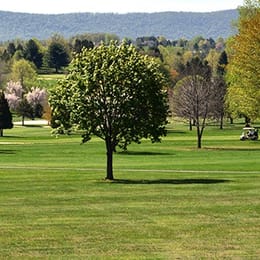 Lykens Valley Golf Resort