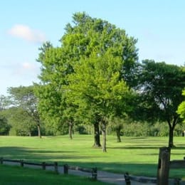 Palmer Park Golf Course