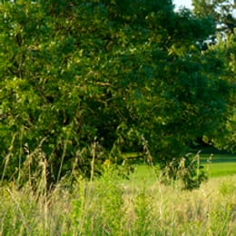 Golf Blue Green Grand Lyon Chassieu (Main)