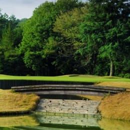 Tokyo Birdie Club - Fuji