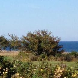 Manistee Golf & Country Club