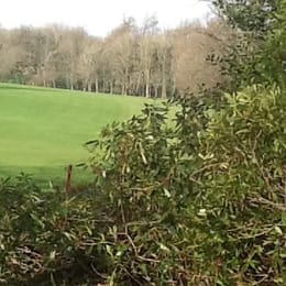 Priskilly Forest Golf Club