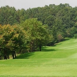 New Seoul Country Club (Yesul)