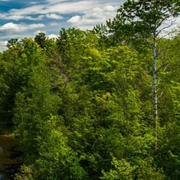 Crystal Mountain (Mountain Ridge)