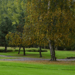 The Blue Heron Golf Course