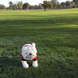 Marine Memorial Golf Course