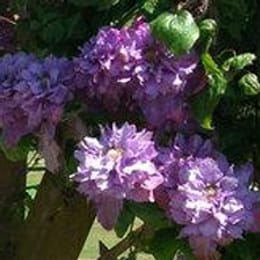 RAF St Athan Golf Club