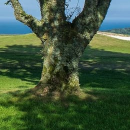 Teignmouth Golf Club