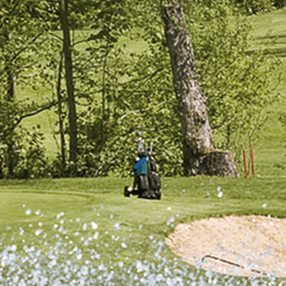 Golf Club Bad Mergentheim