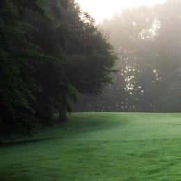 The Pines Golf Course