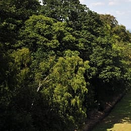 Woodsome Hall Golf Club