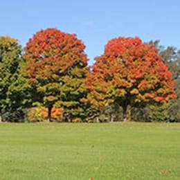 Green Oaks Golf Course