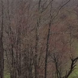 Ridgefield Golf Club