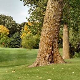 Oak View Golf Club - Alden