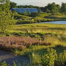 Golfbaan Stippelberg (Executive)