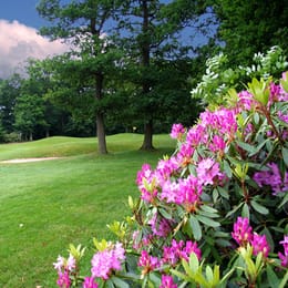 Middlesbrough Golf Club