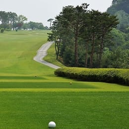 Ansung Benest Golf Club (West-North)