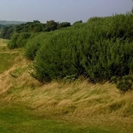 Delamere Forest Golf Club