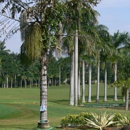 Padang Golf Pangkalan Jati