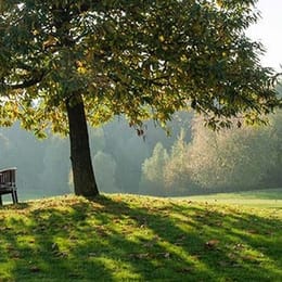 Golfclub Münster-Tinnen